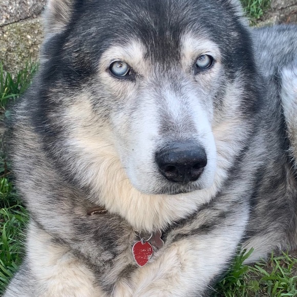 Meet your Posher, Magda - Picture 4 of 5